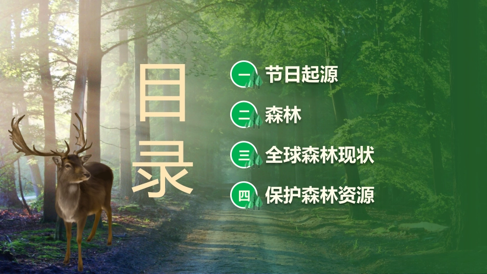 世界森林日主题教育13.pptx_第2页