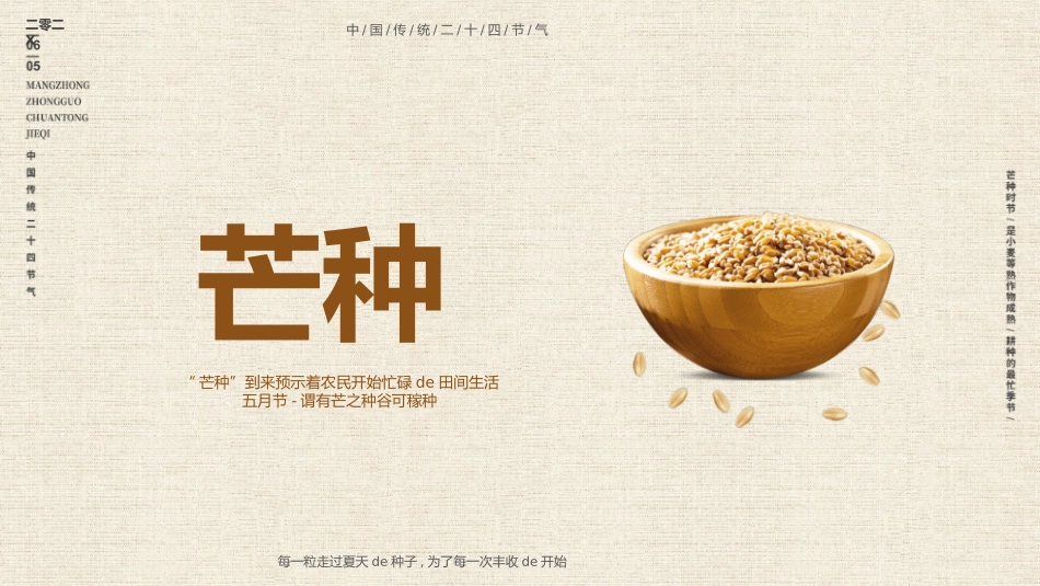 木碗麦粒芒种节气模板.pptx_第1页