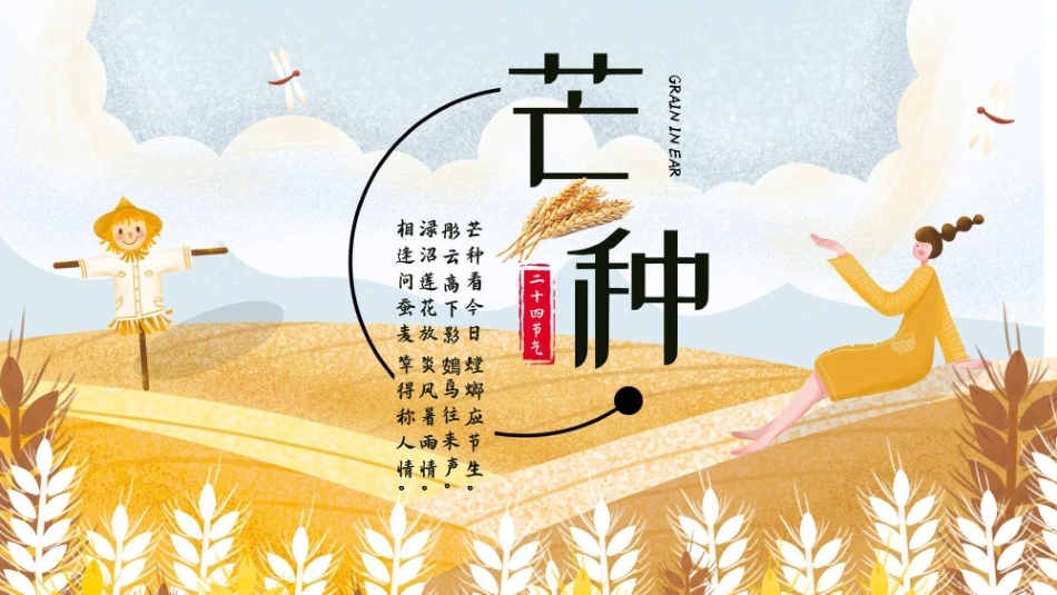 麦田稻草人芒种节气模板.pptx_第1页