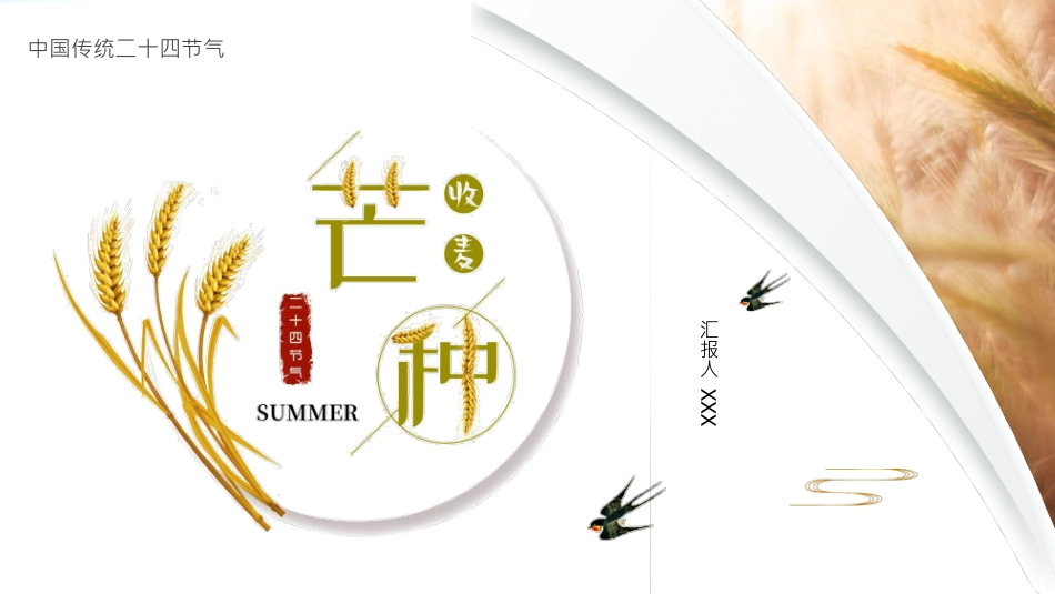 麦穗芒种节气介绍模板2.pptx_第1页