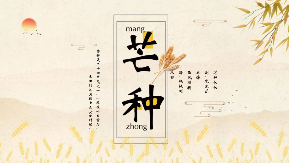 麦穗芒种节气主题模板.pptx_第1页