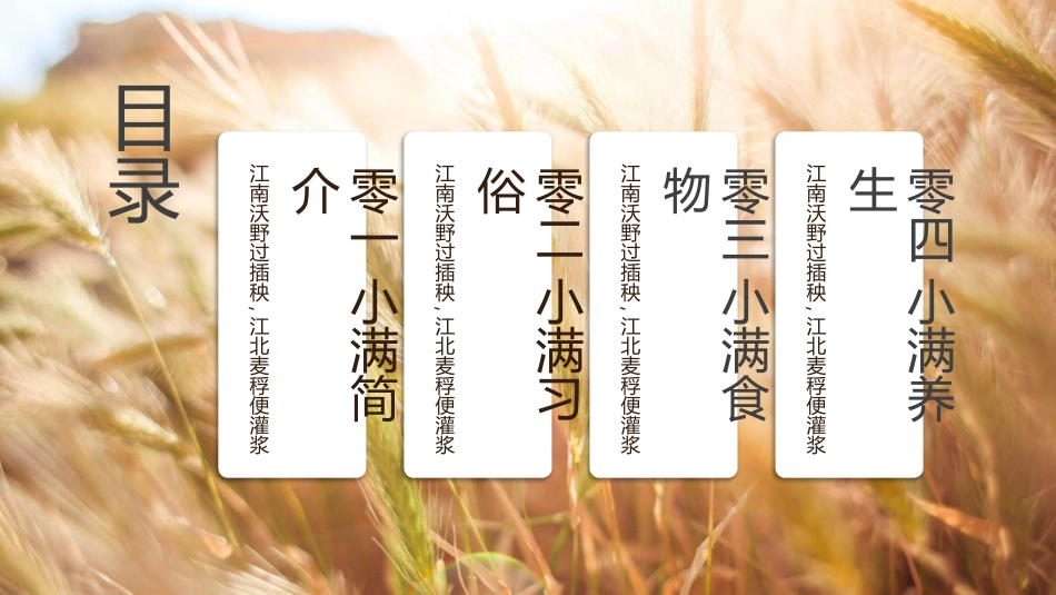 麦穗麦田小满节气模板.pptx_第2页