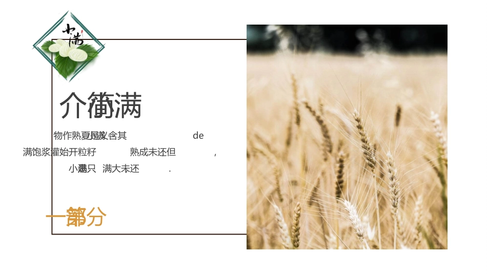 麦穗麦田小满节气模板.pptx_第3页