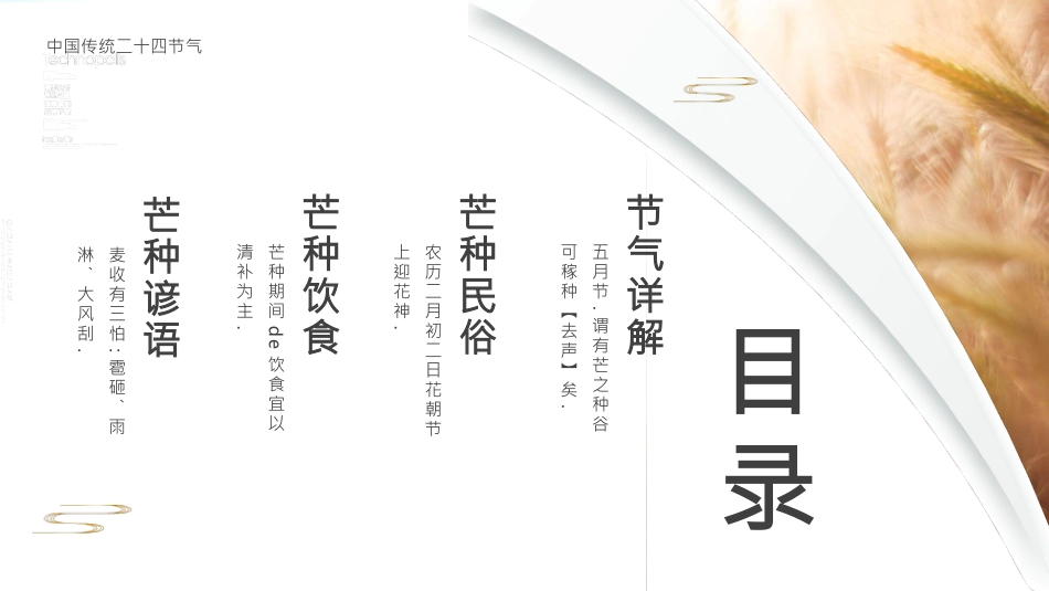 麦穗芒种节气介绍模板.pptx_第2页