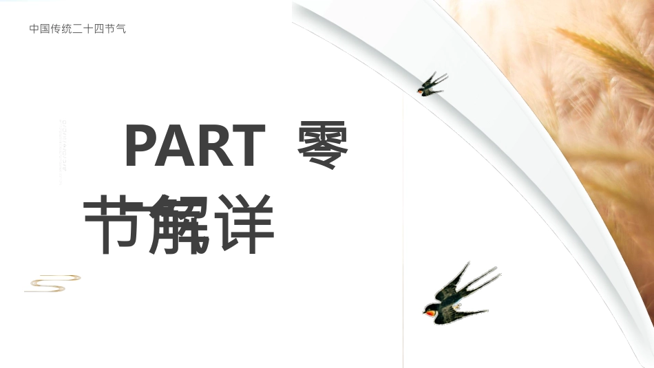 麦穗芒种节气介绍模板.pptx_第3页