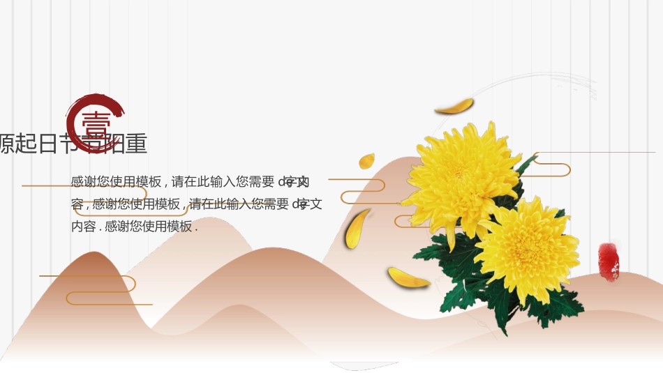 菊花重阳节介绍模板.pptx_第3页