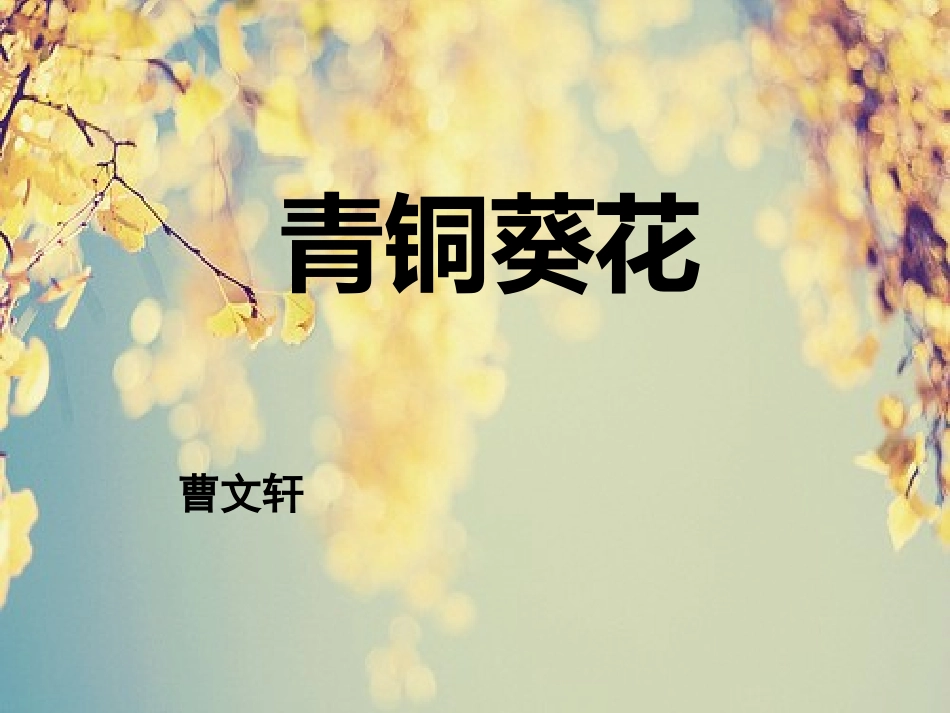 青铜葵花读书分享.pptx_第1页