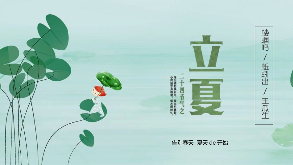 荷叶立夏节气主题模板.pptx_第1页
