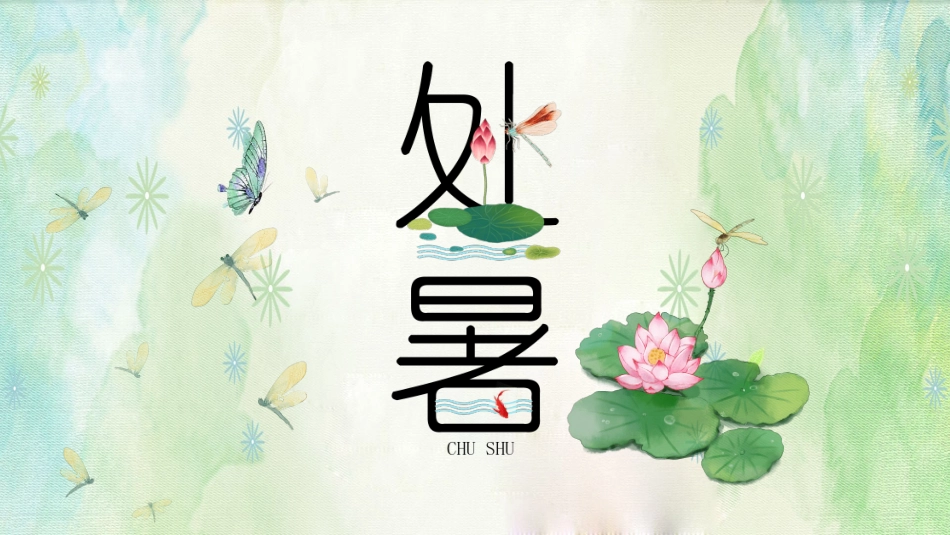 荷花蜻蜓处暑节气模板.pptx_第1页