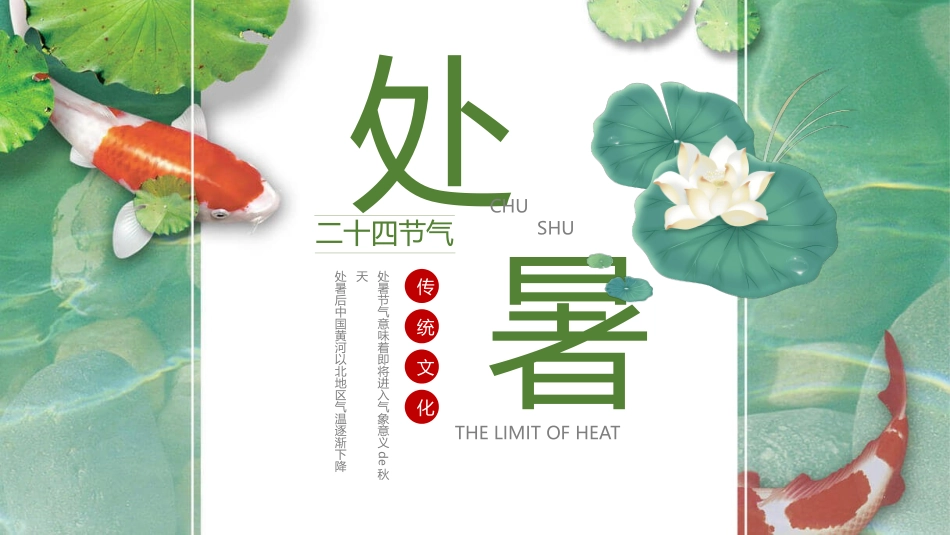荷花锦鲤处暑节气模板.pptx_第1页