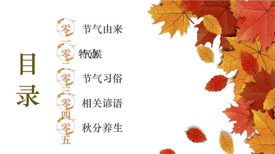 枫叶秋分节气介绍模板.pptx_第2页