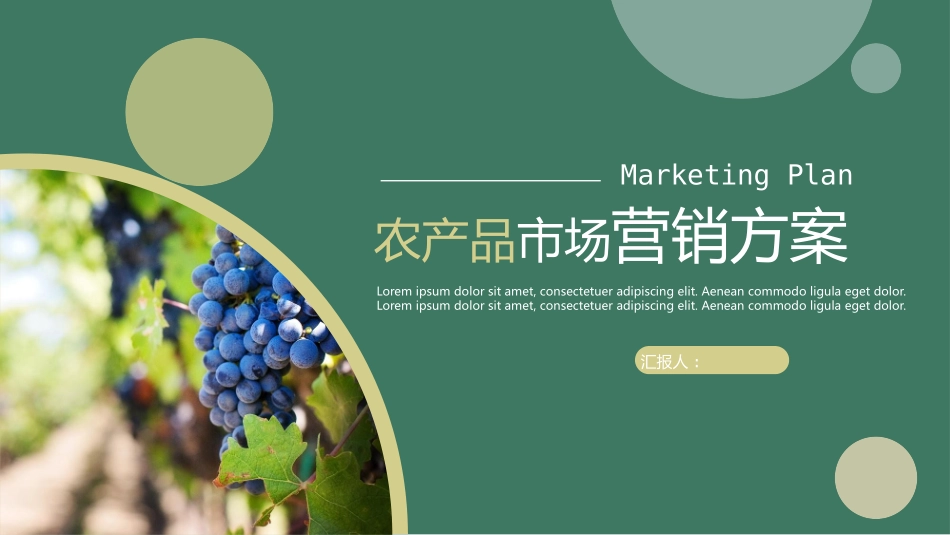 绿色葡萄背景农产品市场营销方案模板.pptx_第1页