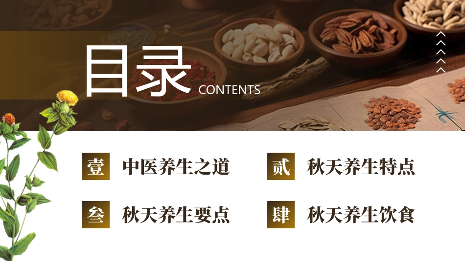 老中医背景的秋季养生中医保健小常识模板.pptx_第2页