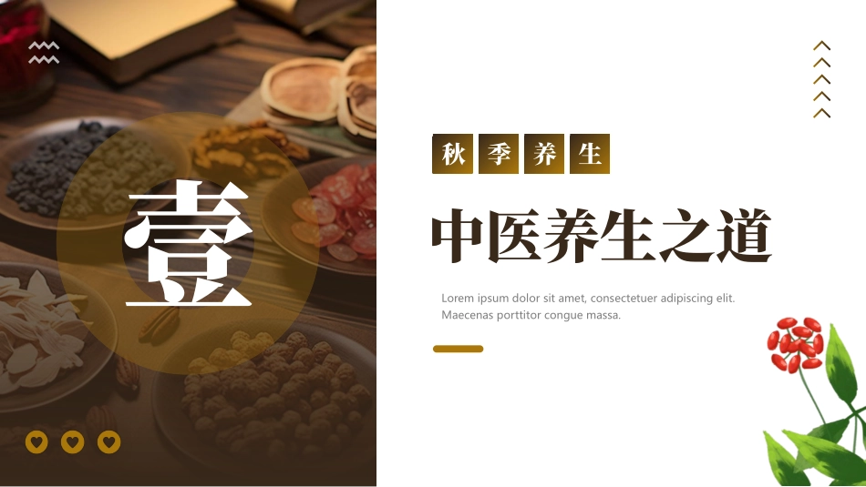 老中医背景的秋季养生中医保健小常识模板.pptx_第3页