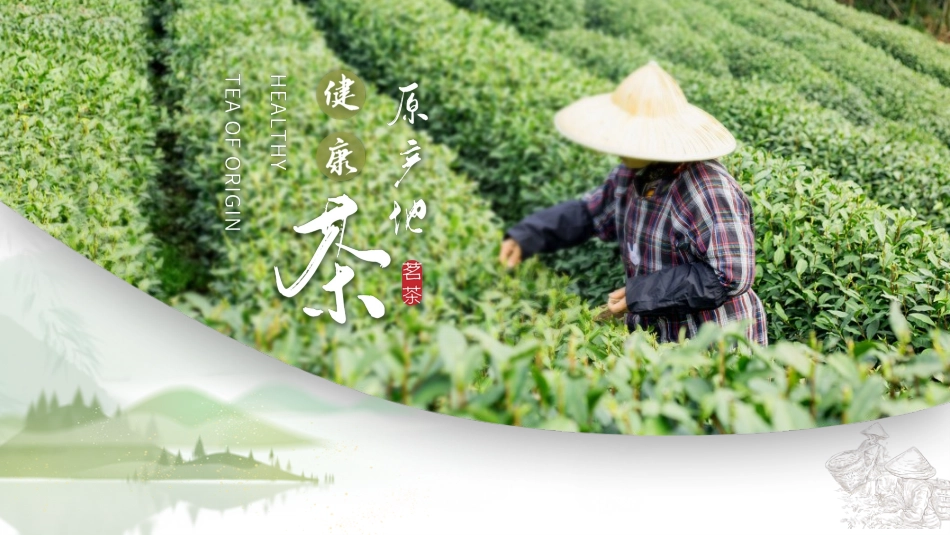 绿色茶园茶农背景的健康茶原产地介绍模板.pptx_第1页