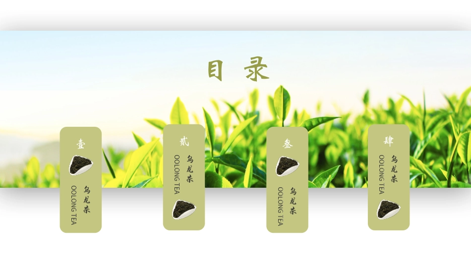 绿色茶园茶农背景的健康茶原产地介绍模板.pptx_第2页