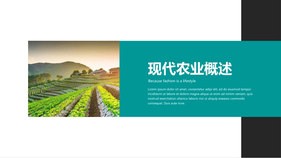 黑色手捧蔬菜的农民背景现代农业主题模板.pptx_第3页