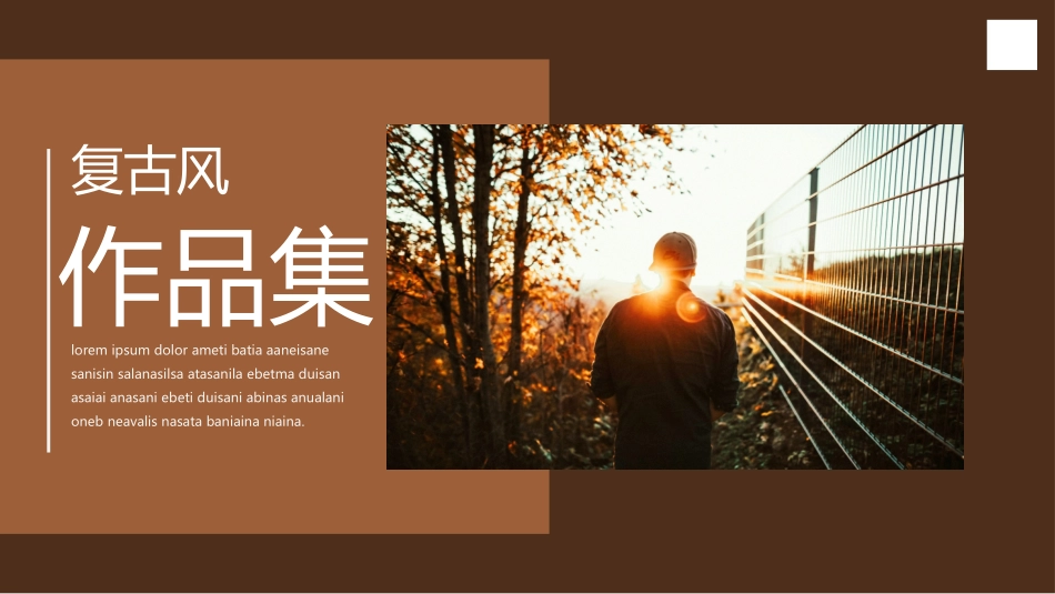 褐色复古风个人摄影背景的作品集模板.pptx_第1页
