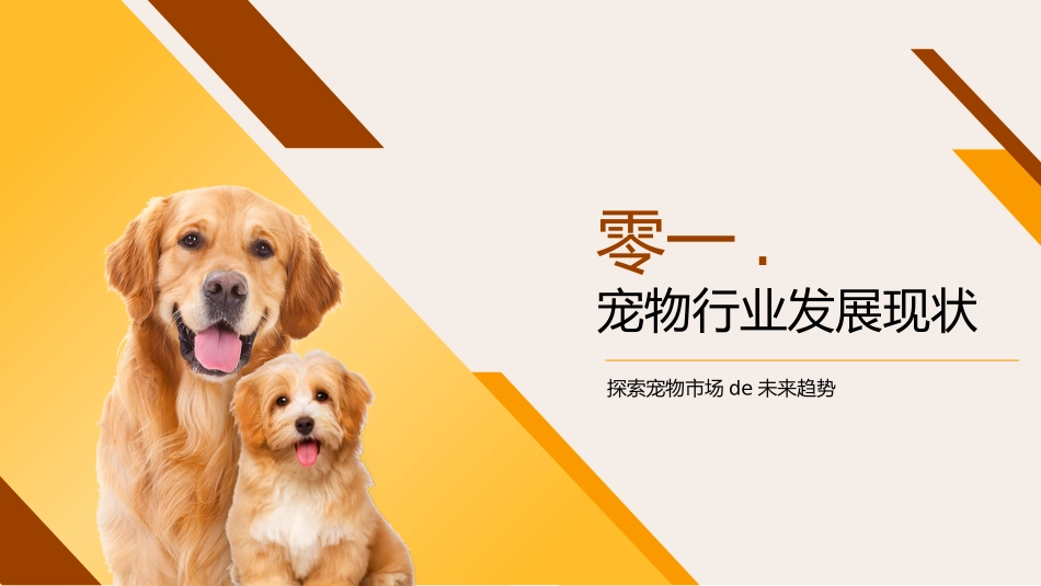橙色可爱小狗背景的宠物行业市场调研报告模板.pptx_第3页