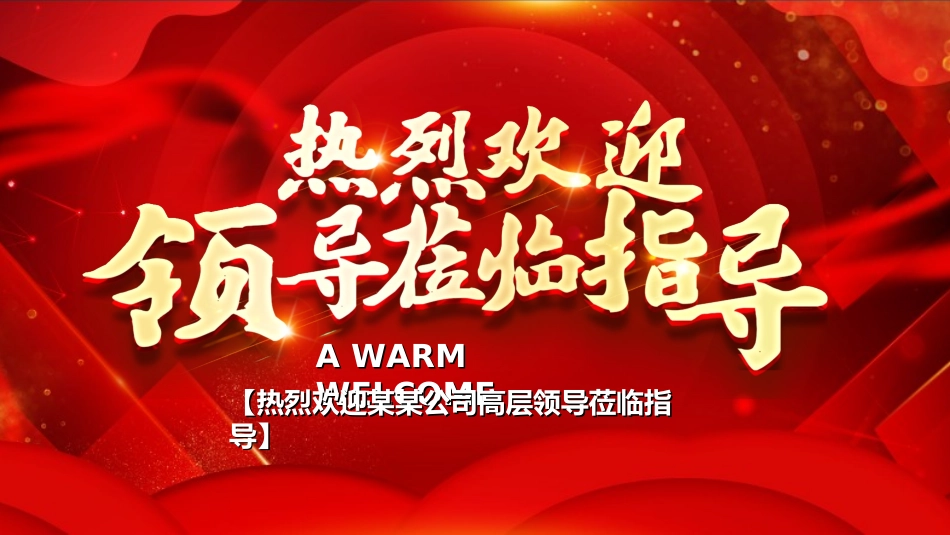 欢迎领导指导检查312.ppt_第1页