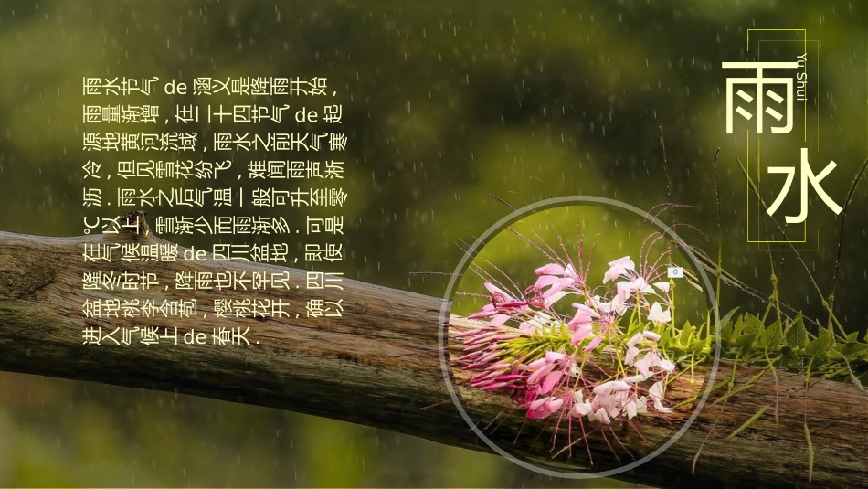 二十四节气二十5课件.pptx_第3页