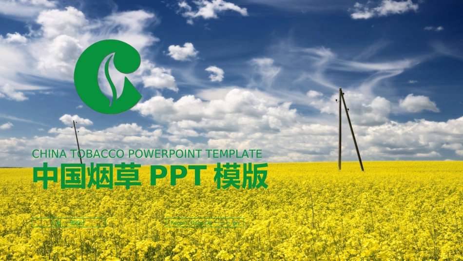 烟草戒烟模板22.ppt_第1页