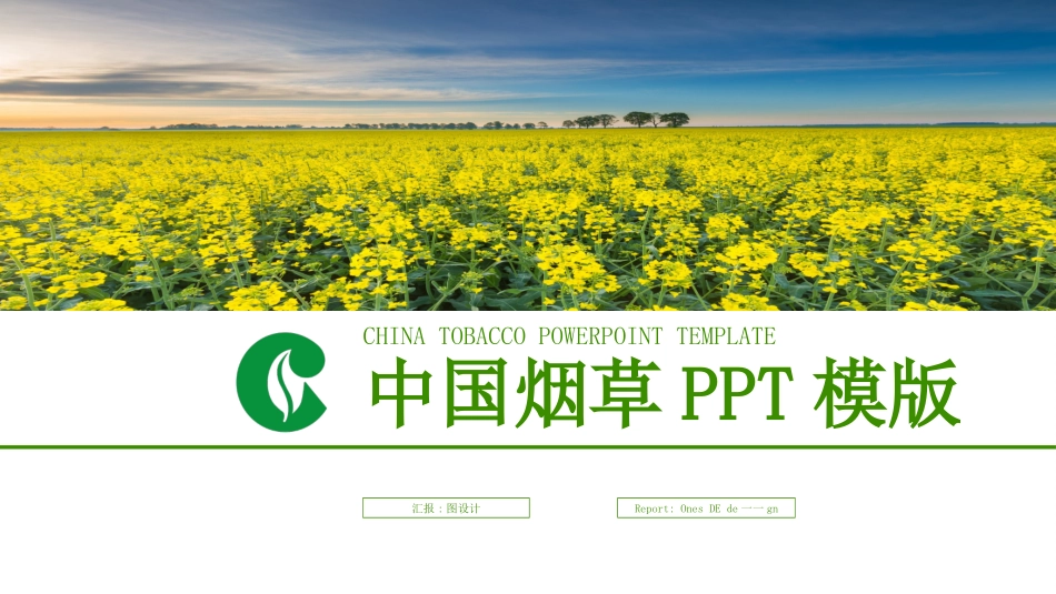 烟草戒烟模板3.ppt_第1页