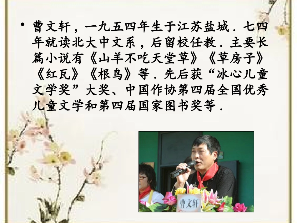 草房子读书分享.pptx_第2页