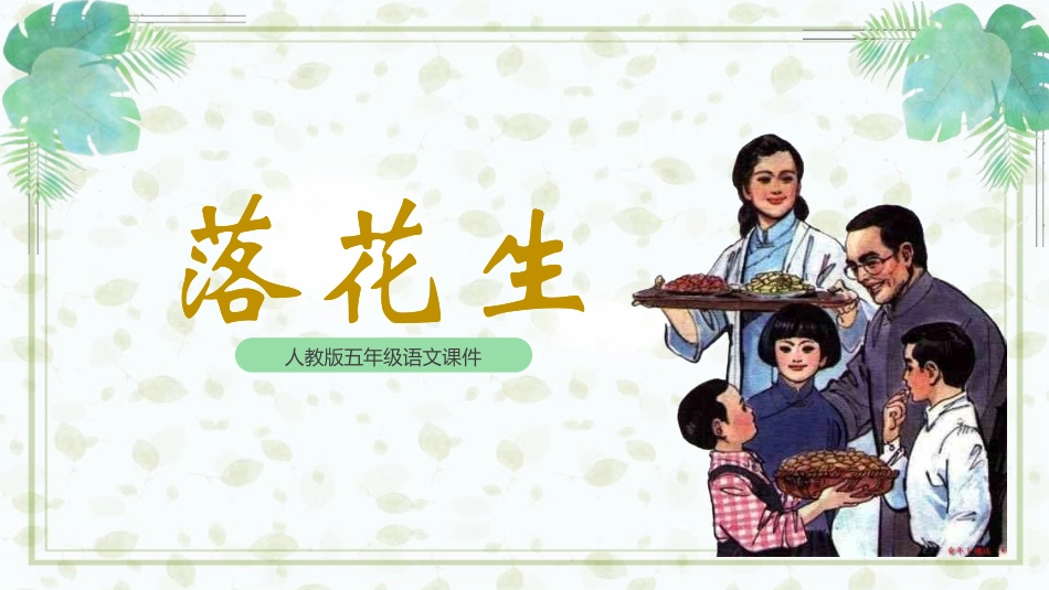 《落花生》教学课件.pptx_第1页