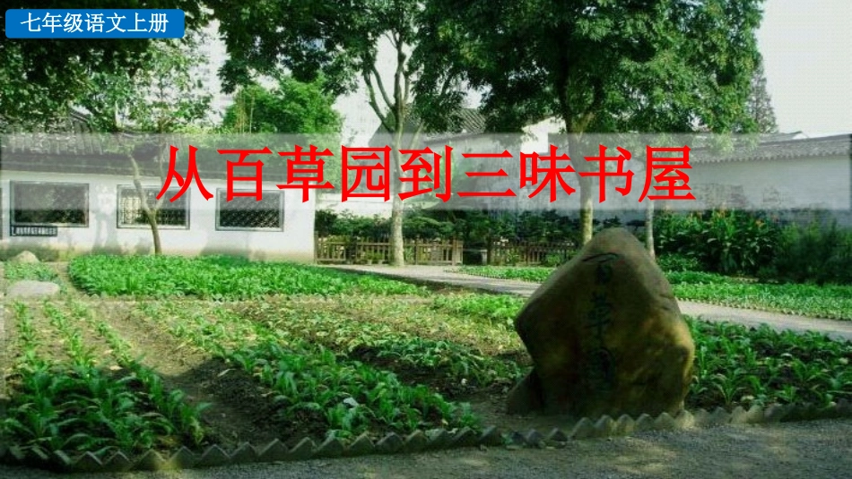 《从百草园到三味书屋》教学课件(1).pptx_第1页