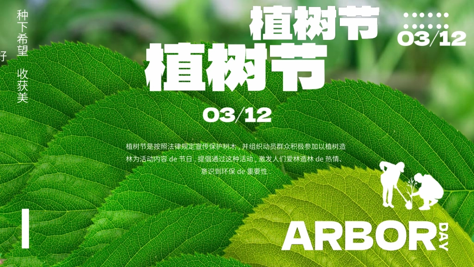 植树节主题班会812.ppt_第1页
