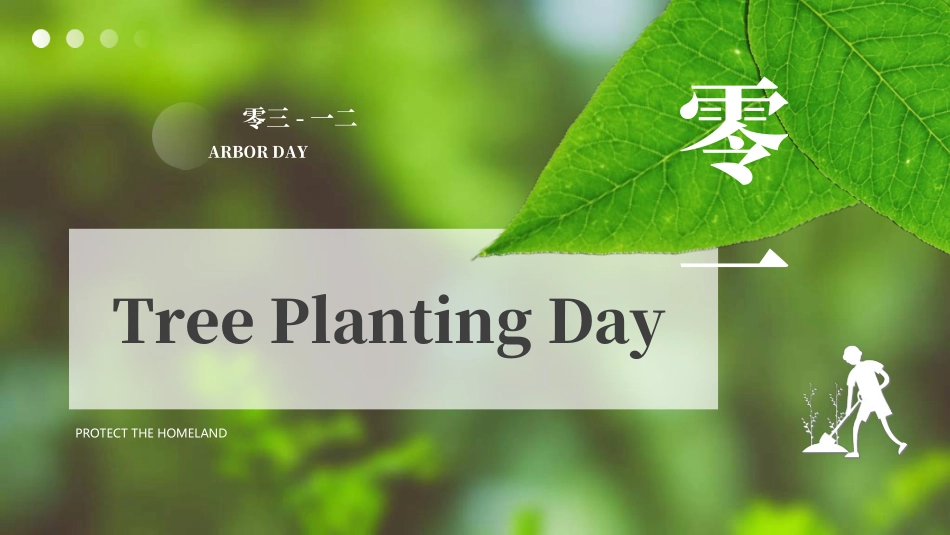 植树节主题班会72.ppt_第3页