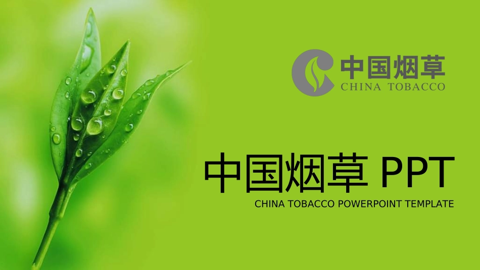 烟草戒烟模板21.ppt_第1页