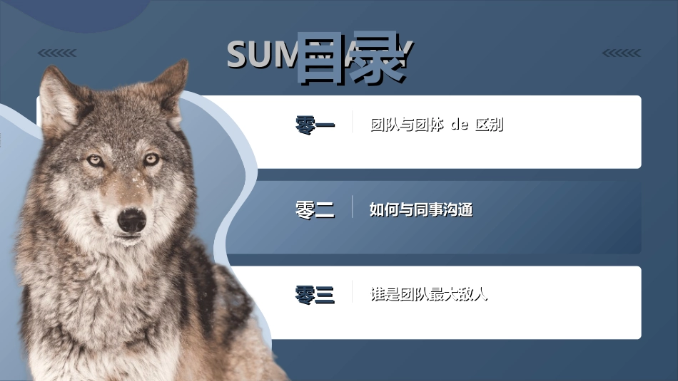 团队凝聚力团队建设协作28.ppt_第2页