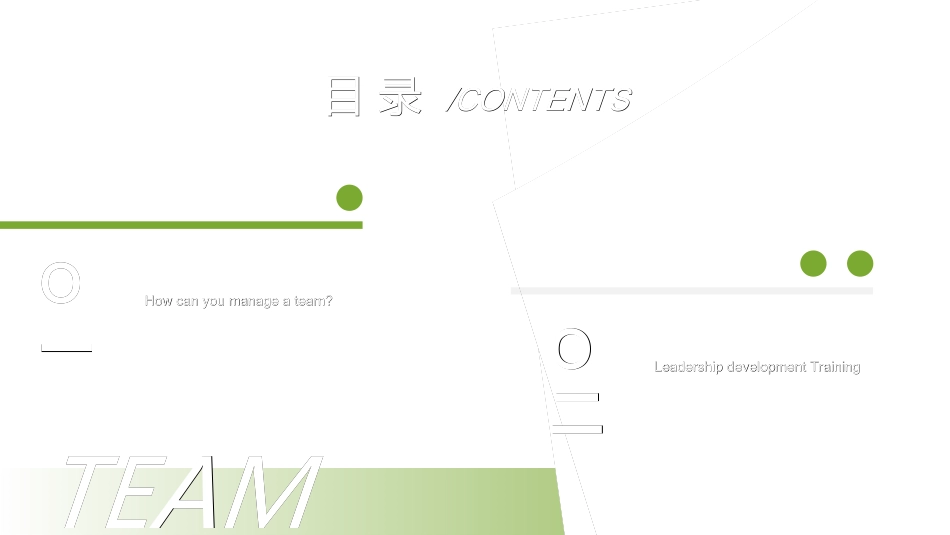 团队管理建设培训2211.ppt_第2页