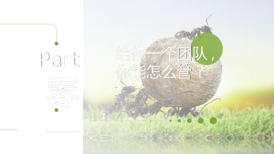 团队管理建设培训2211.ppt_第3页