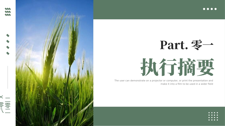 创业计划书融资计划书512.ppt_第3页