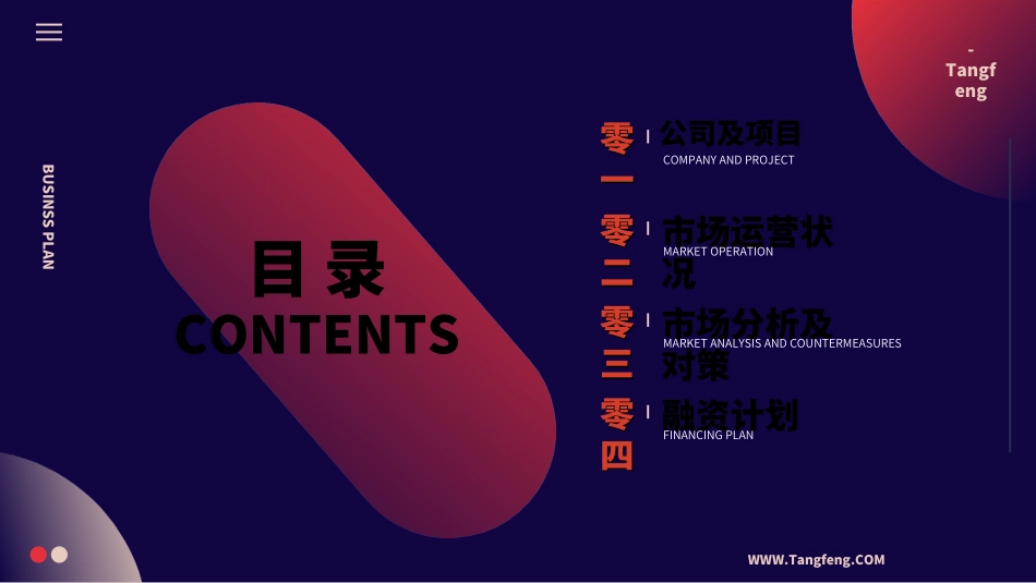 创业计划书融资计划书73.ppt_第2页