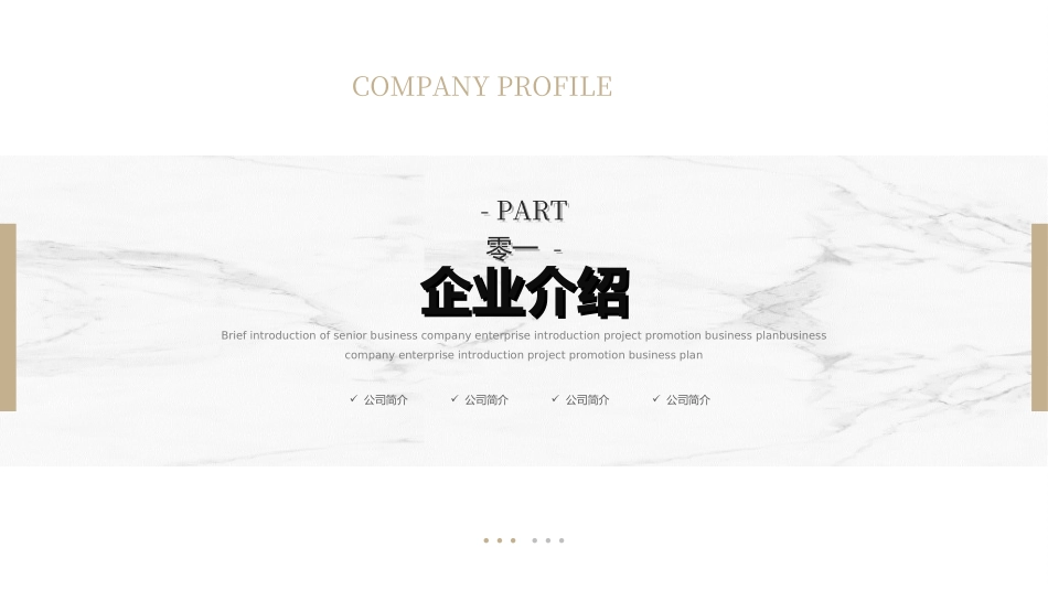 创业计划书融资计划书68.ppt_第3页