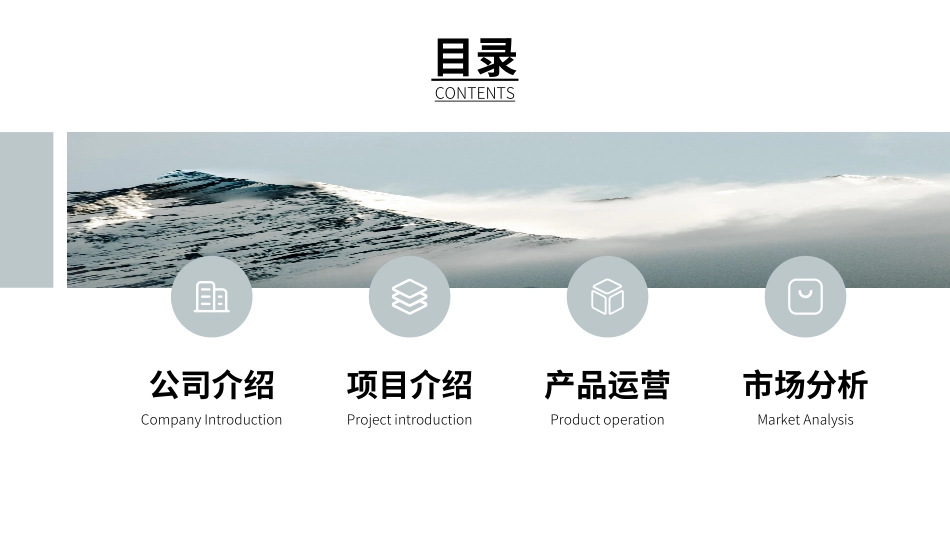 创业计划书融资计划书23.ppt_第2页