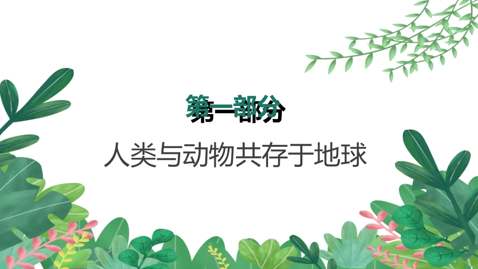 保护野生动物17.ppt_第3页