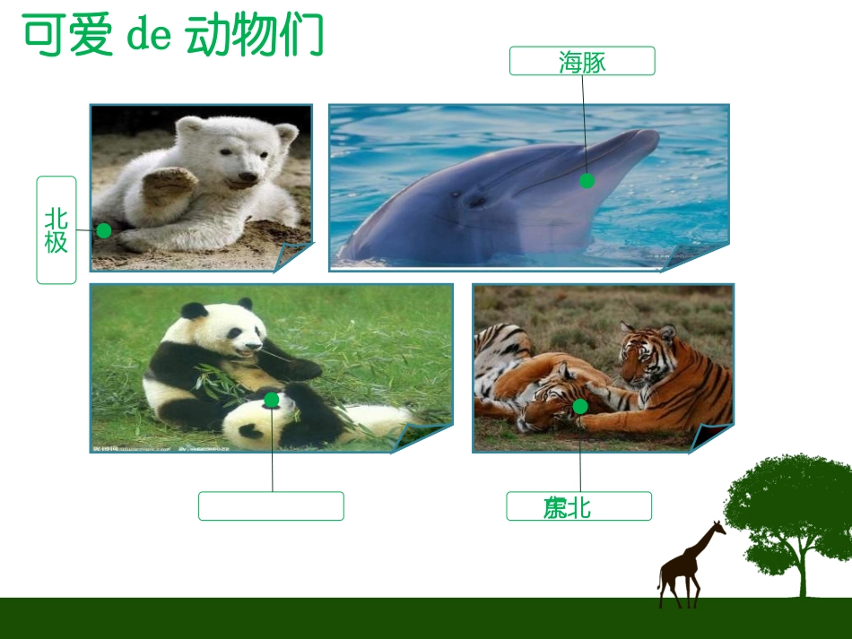 保护野生动物6.ppt_第2页