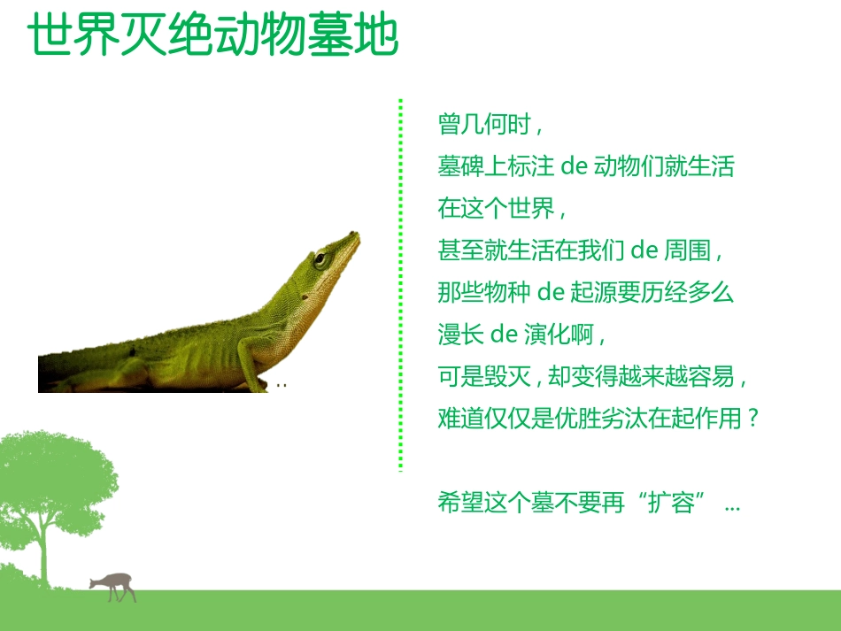 保护野生动物6.ppt_第3页