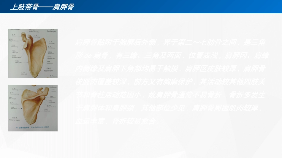 手术后护理个人32.ppt_第3页