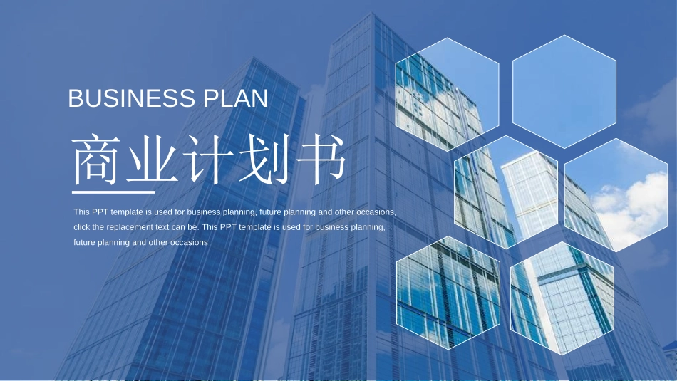 商业计划书模板3.ppt_第1页