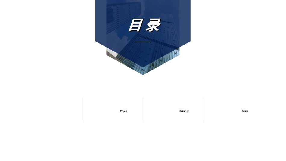 商业计划书模板66.ppt_第2页