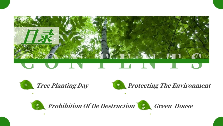 植树节主题班会7.ppt_第2页