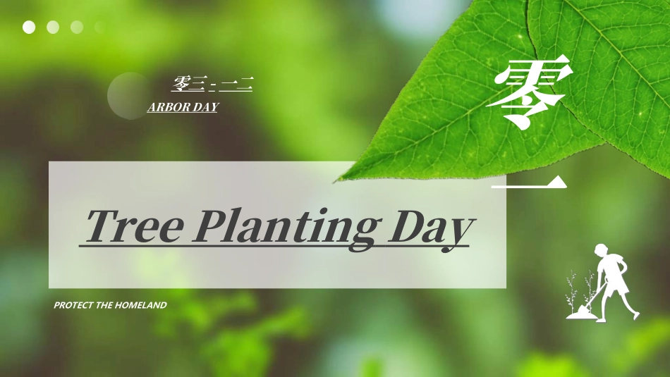 植树节主题班会7.ppt_第3页