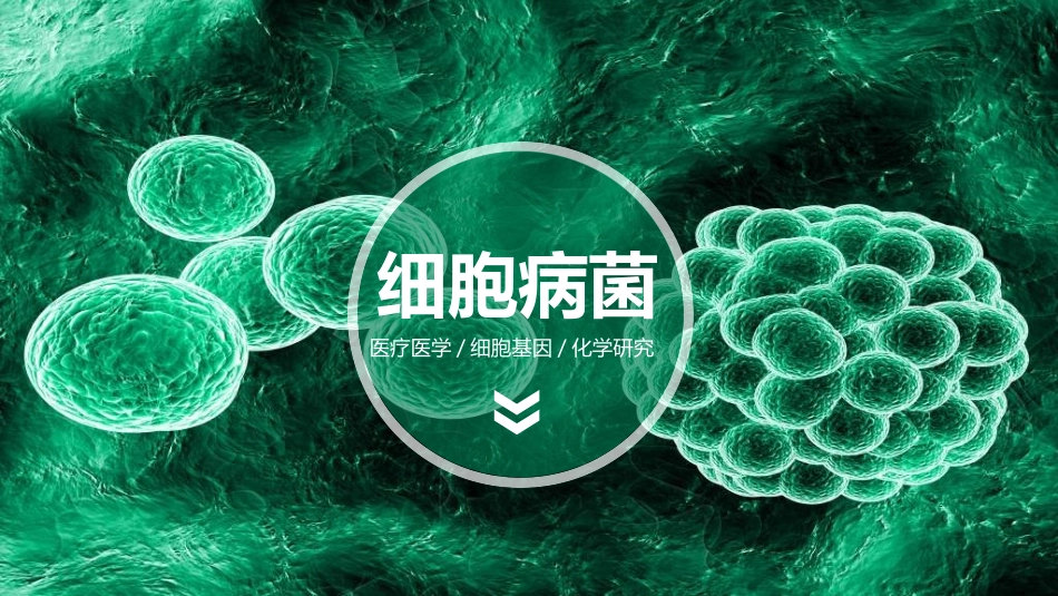 预防艾滋病珍惜生命32.ppt_第1页
