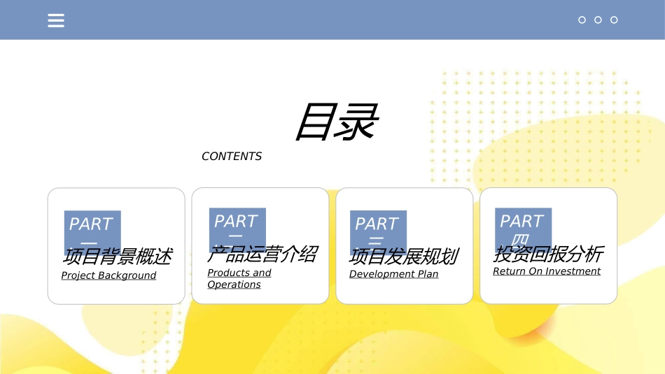 创业计划书融资计划书75.ppt_第2页